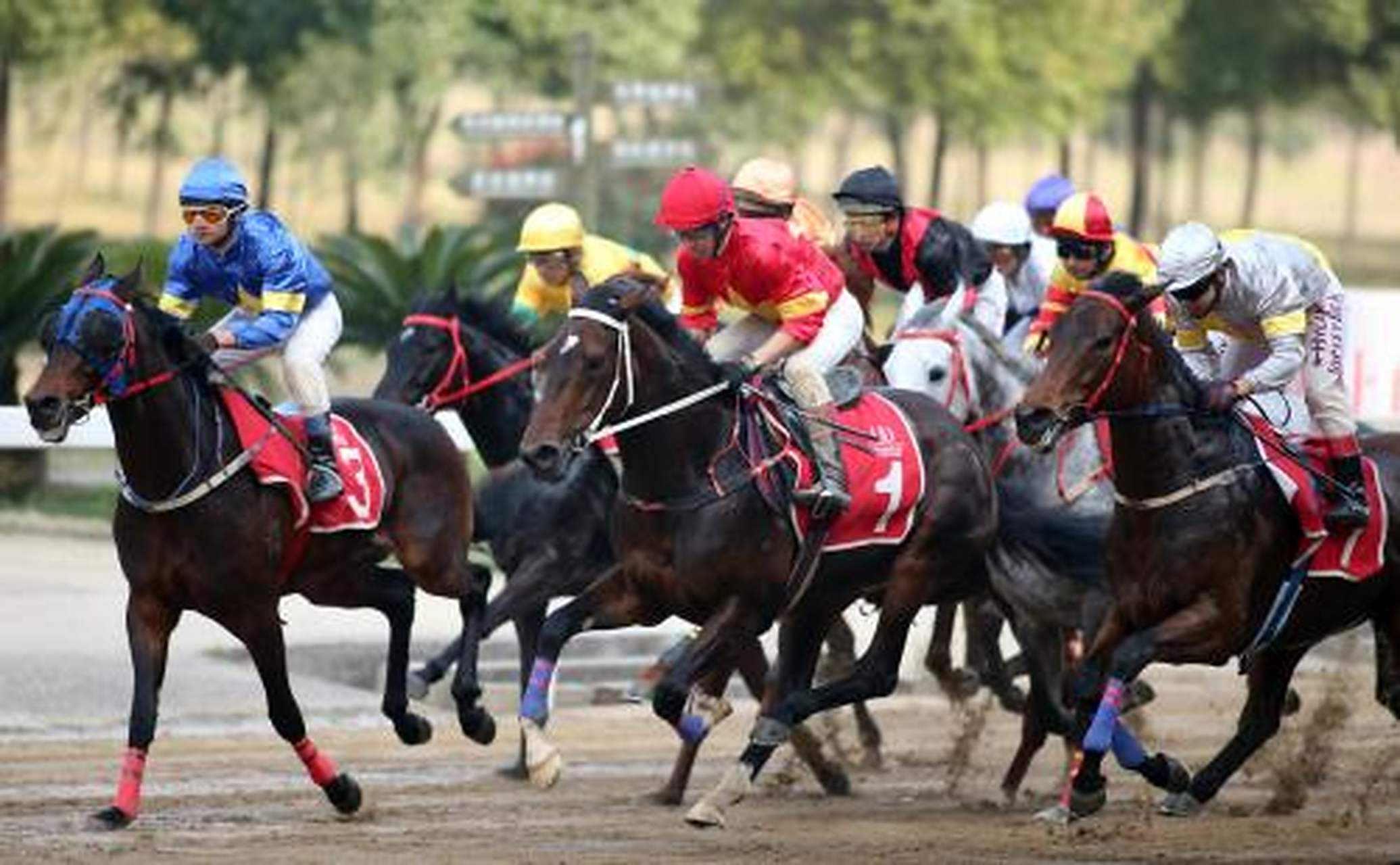 见证#位于东西湖区的东方马城,是华中地区唯一的国际标准赛马场,以