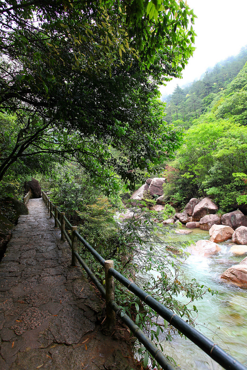 青峰峡国家森林公园图片