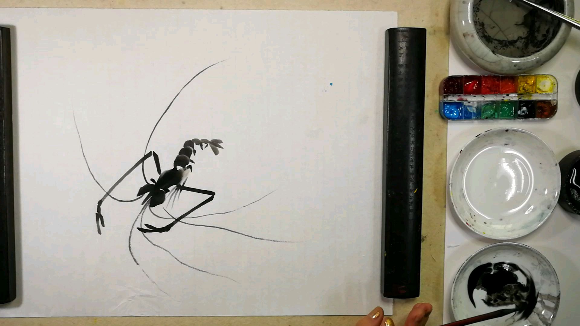 国画普及花鸟集。第三章墨虾的画法。第一节墨虾的画法与步骤