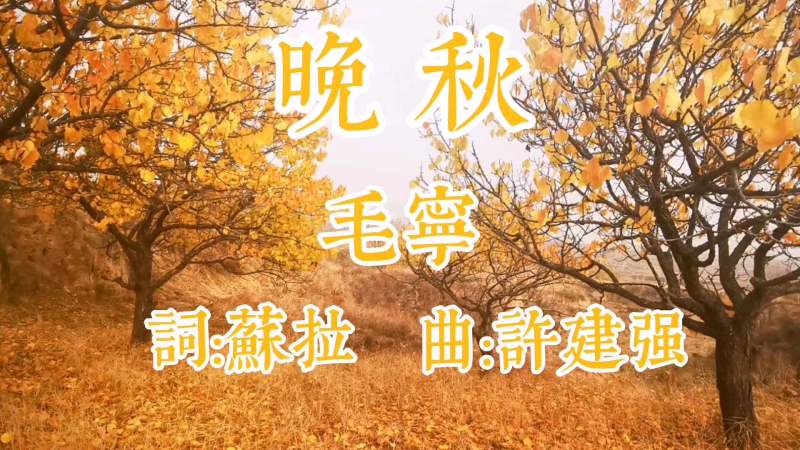 经典歌曲《晚秋》毛宁,音乐,流行乐,好看视频