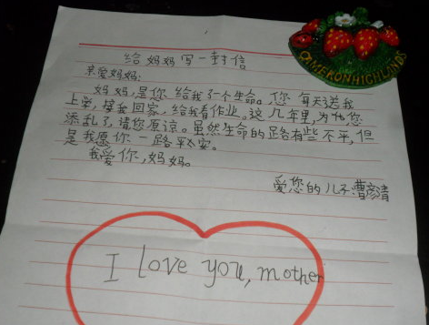 小学生写给妈妈的一封信:"我爱你,可您爱撒谎"结尾让人流泪!
