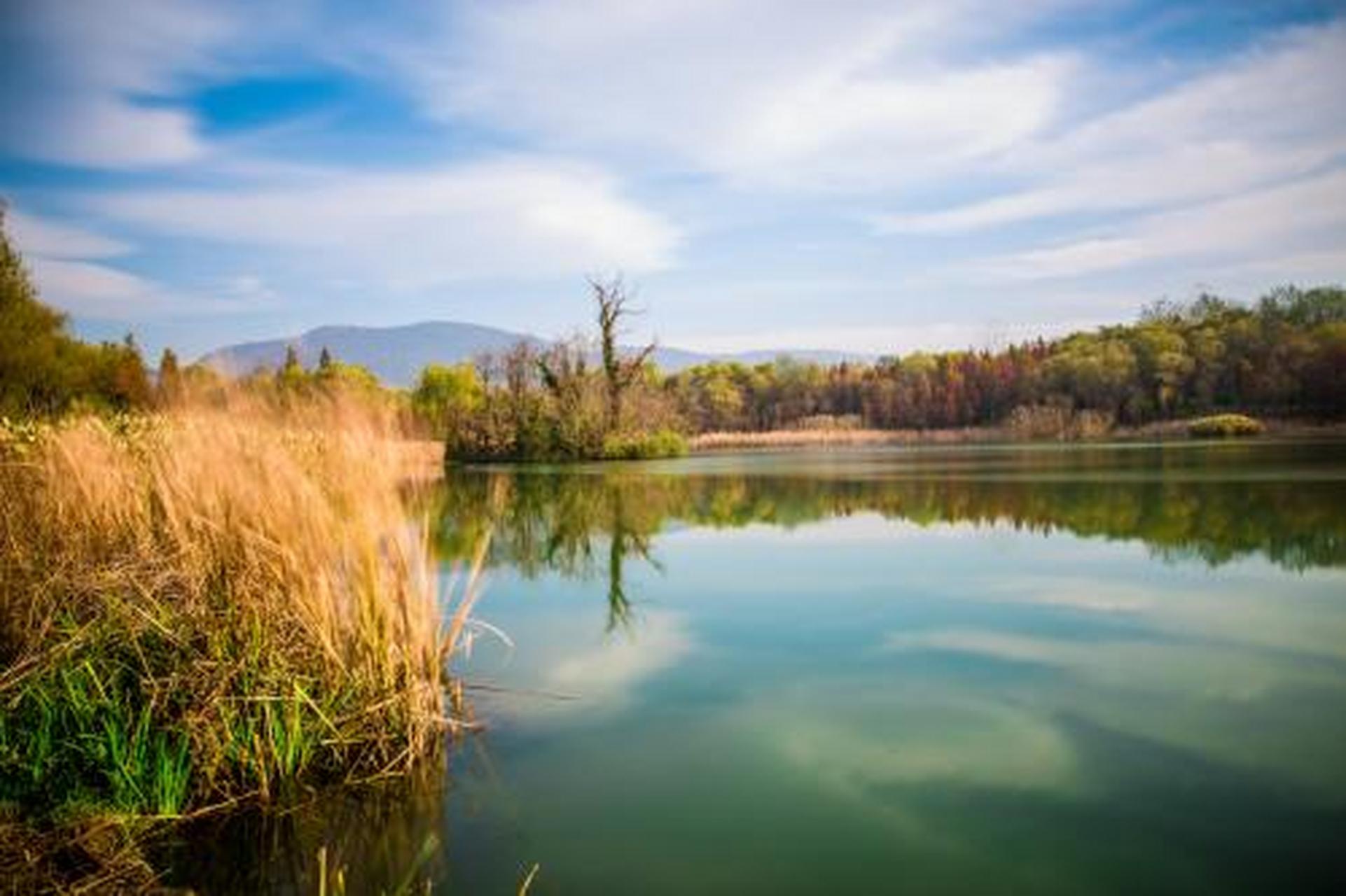 #科普知识竞赛#【科普小知识】梅花湖位于宜兰县冬山乡得安村,景色绮