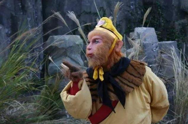 孙悟空每次用完猴毛为何要收回去?不是越拔越少,而是另有隐情!