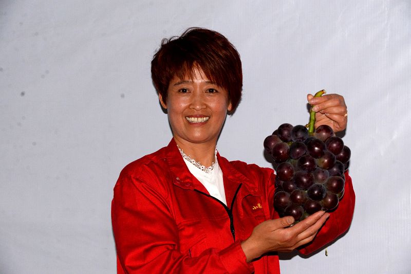 400多农民参加葡萄大赛 女农民王秀红获葡萄大王