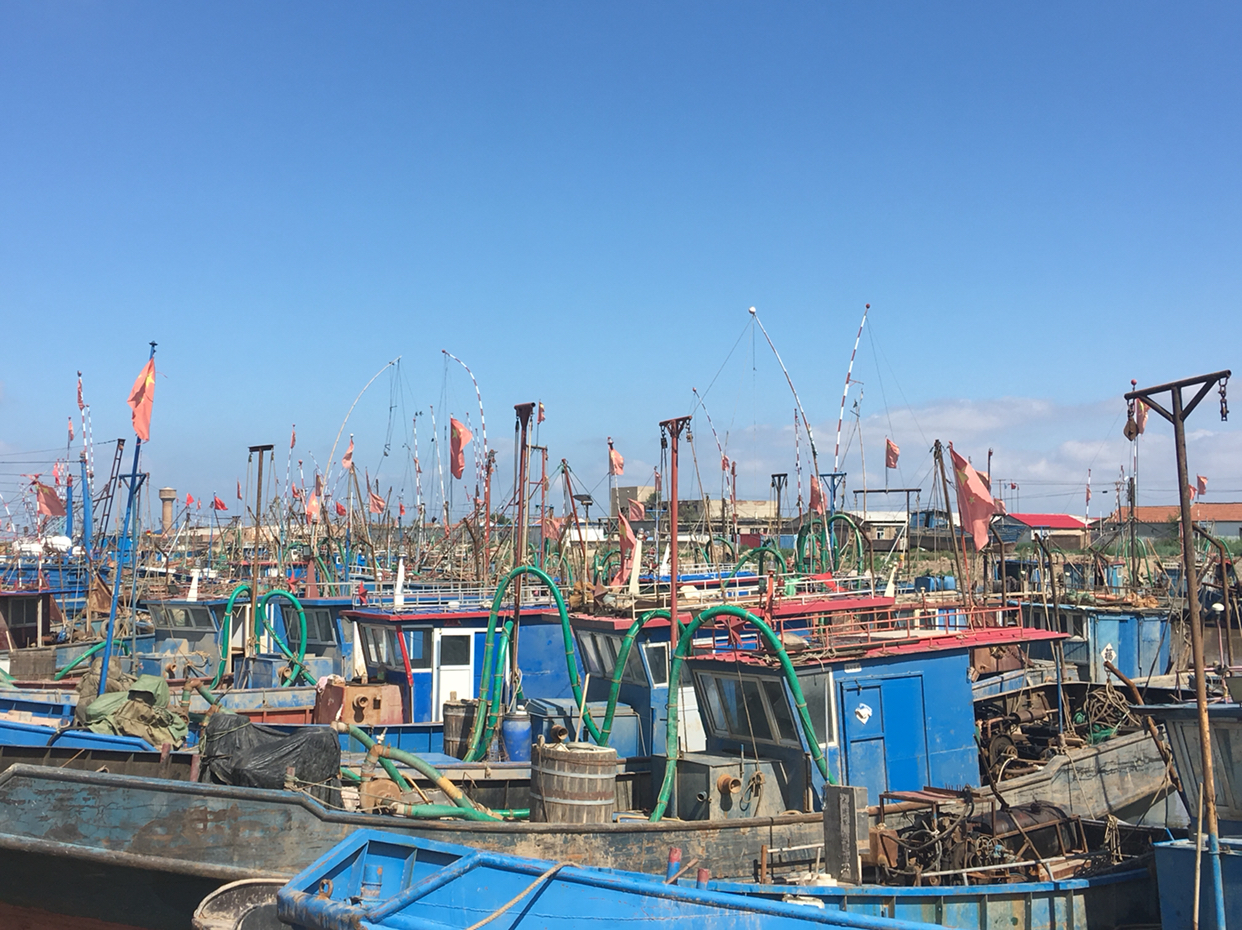 渤海湾前徐堡村百余艘渔船,停在码头修缮待捕壮观场面