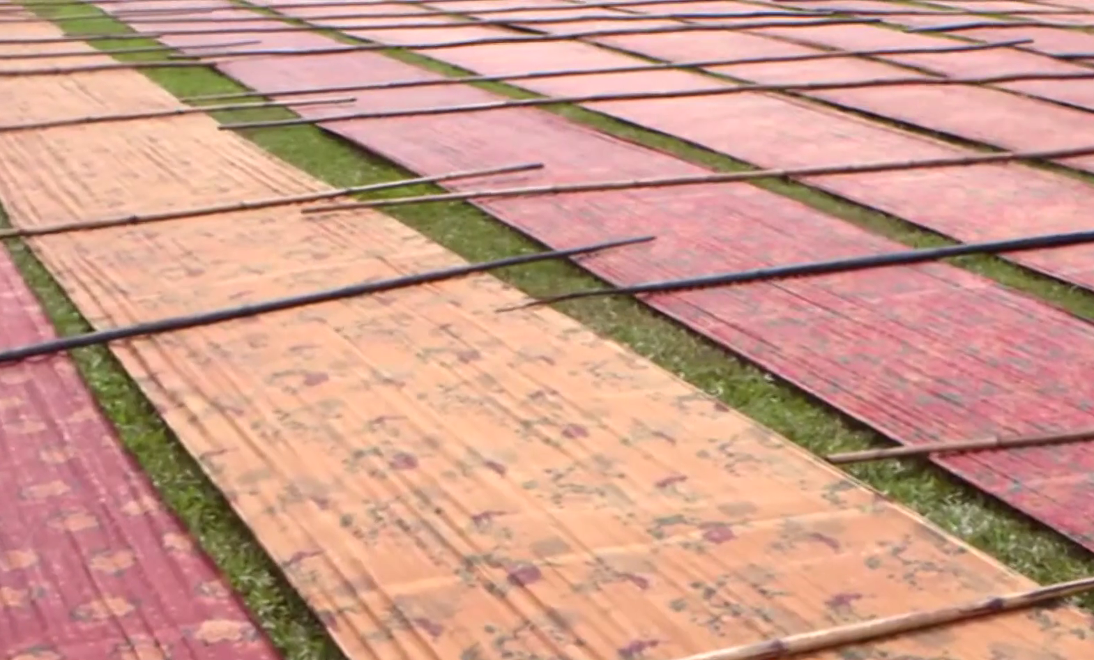 香云纱染整技艺于2008年入选第二批国家级非物质文化遗产.