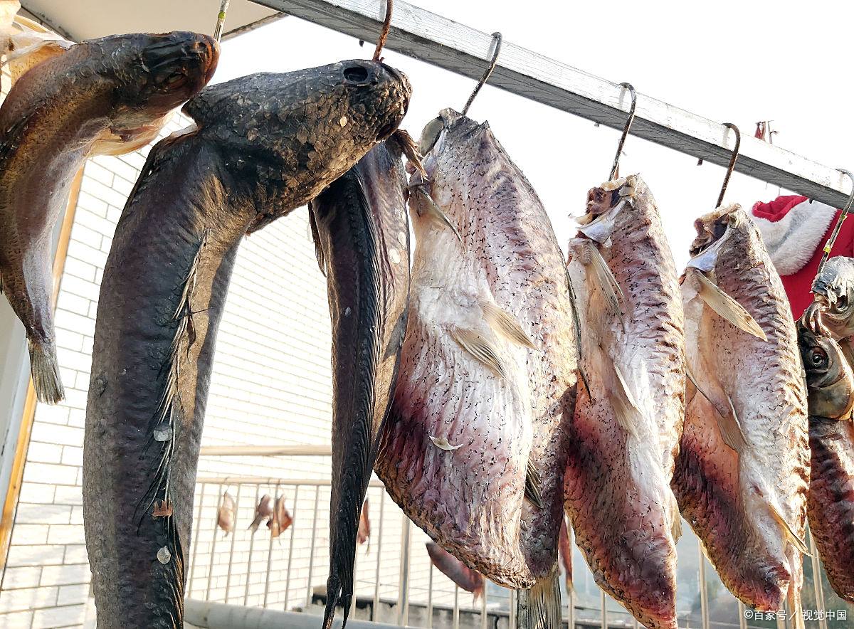 腊鱼其实就是以新鲜的鱼为原料,加入盐等调味料腌制再干燥而成的腌制