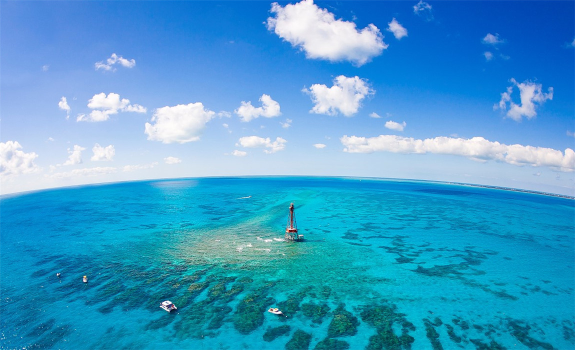 美国也有"海南岛"?来到佛罗里达群岛,感受海滩飞鸟的自然之美