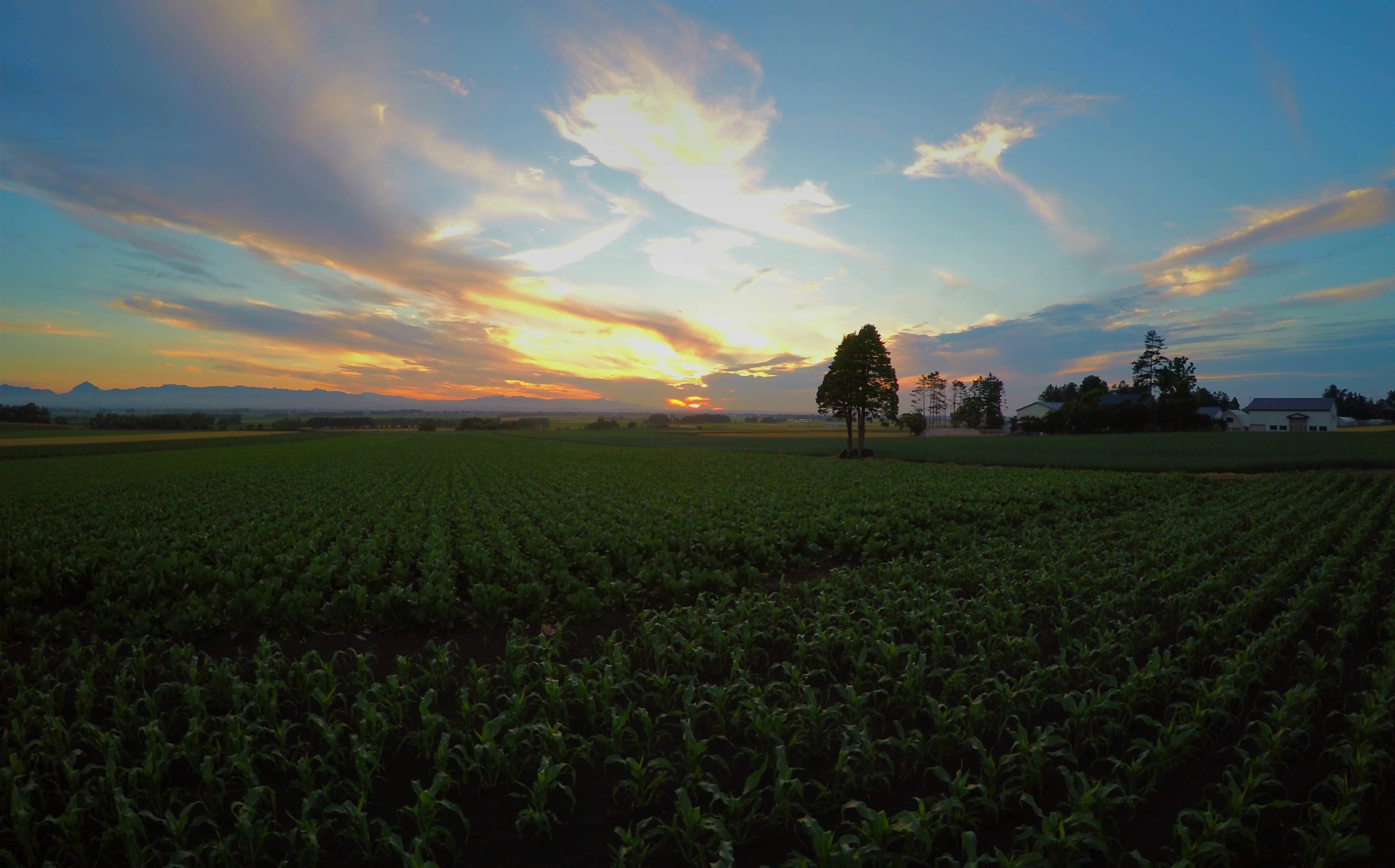 郊外的风景 | 第二期