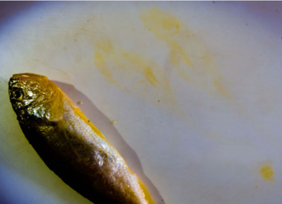 买回家的黄花鱼洗过掉色了,这几招让你区分真假黄花鱼,不再被骗