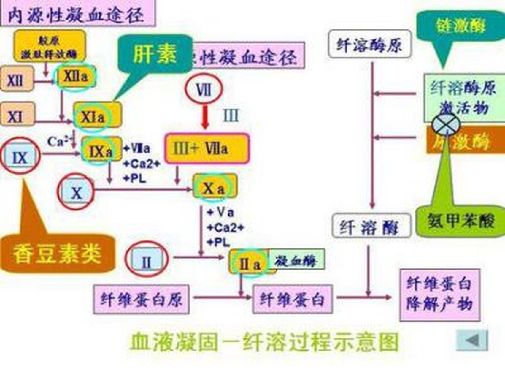 科普知识竞赛#血液凝固机制分为内,外凝血系统,活化部分凝血活酶时间