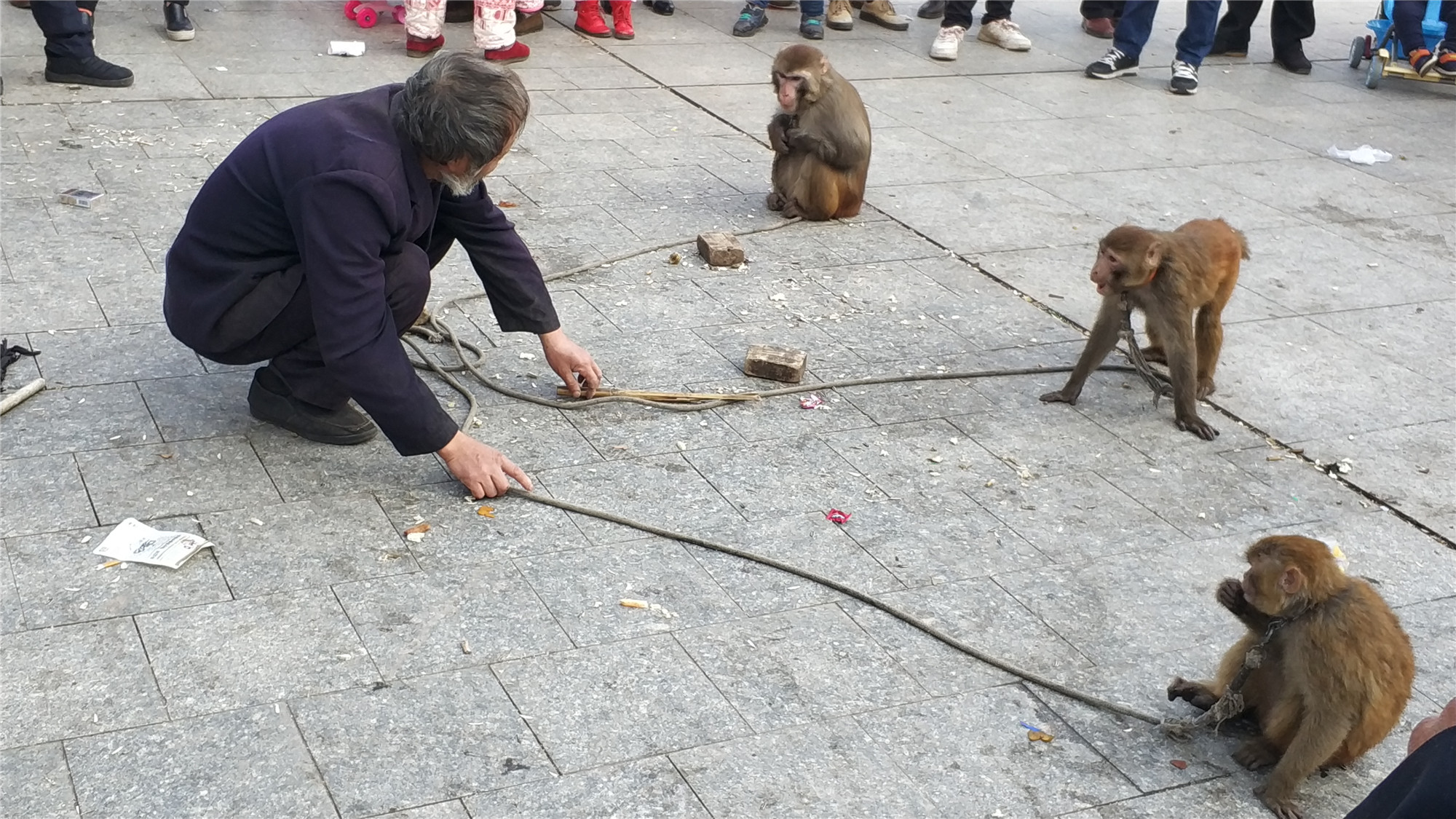 实拍民间艺人街头耍猴,调皮捣蛋的猴子让大家不时发出开心的笑声