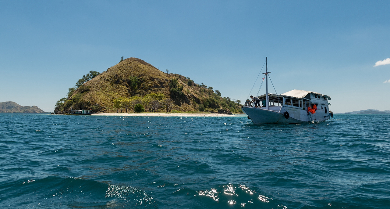 弗洛勒斯海 flores sea