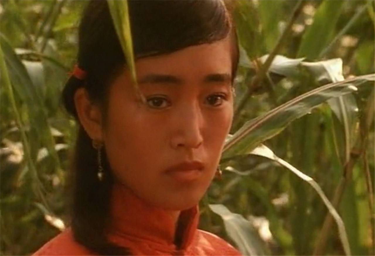 红高粱电影影评题目