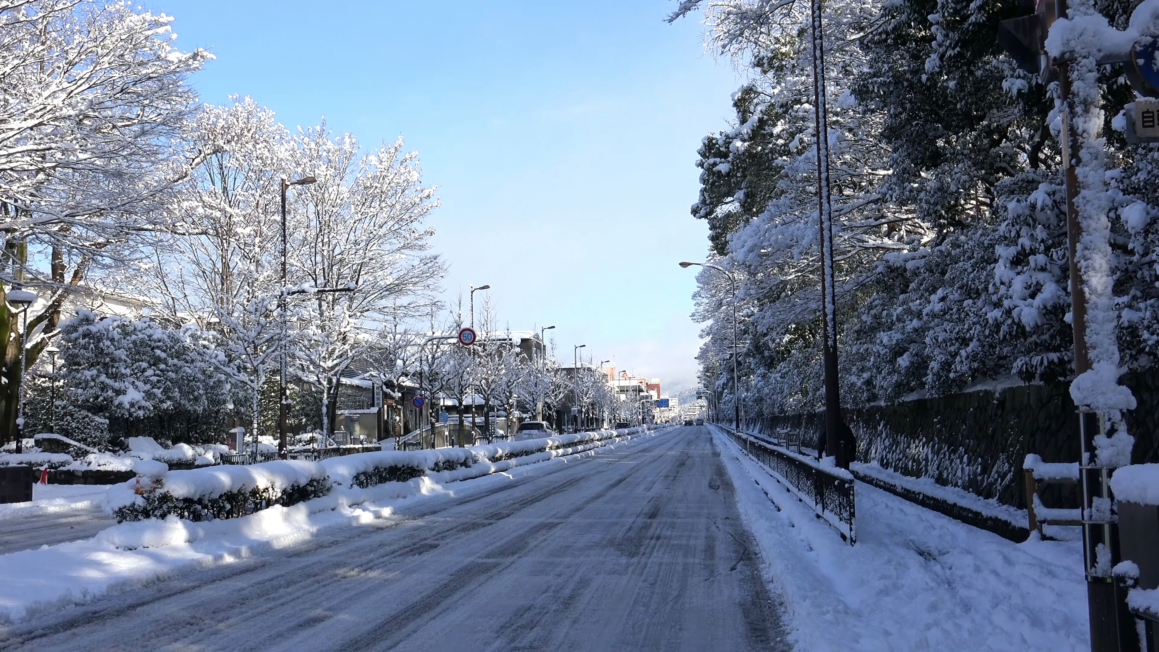 五大道雪景图片