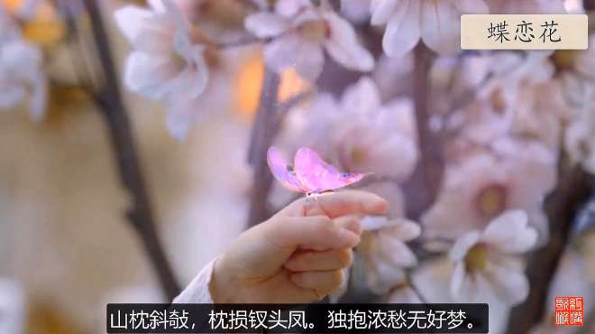 [图]美妙古风歌曲《蝶恋花》，让人听出神仙驾到的感觉