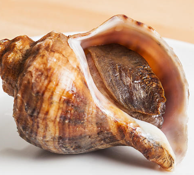 补钙壮骨也是大海螺的重要作用,这种水产食材中不但含有大量的碳酸钙