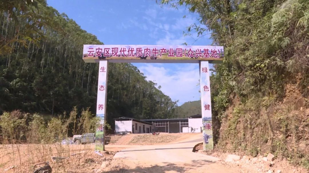 云安区六都镇下四村三名90后小青年放弃舒适的城市工作,回到家乡创业