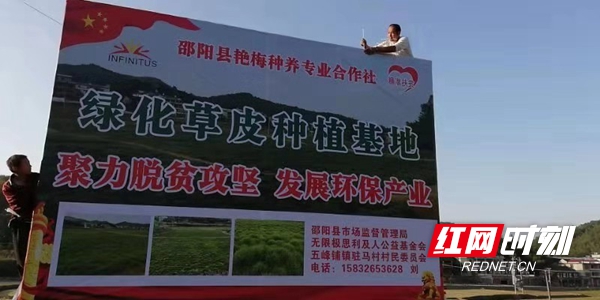 绿化草皮价格一览表