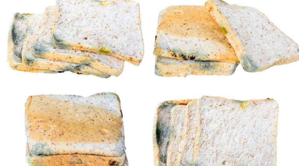 过期的面包堆积如山该怎么处理,有人靠这个发家致富