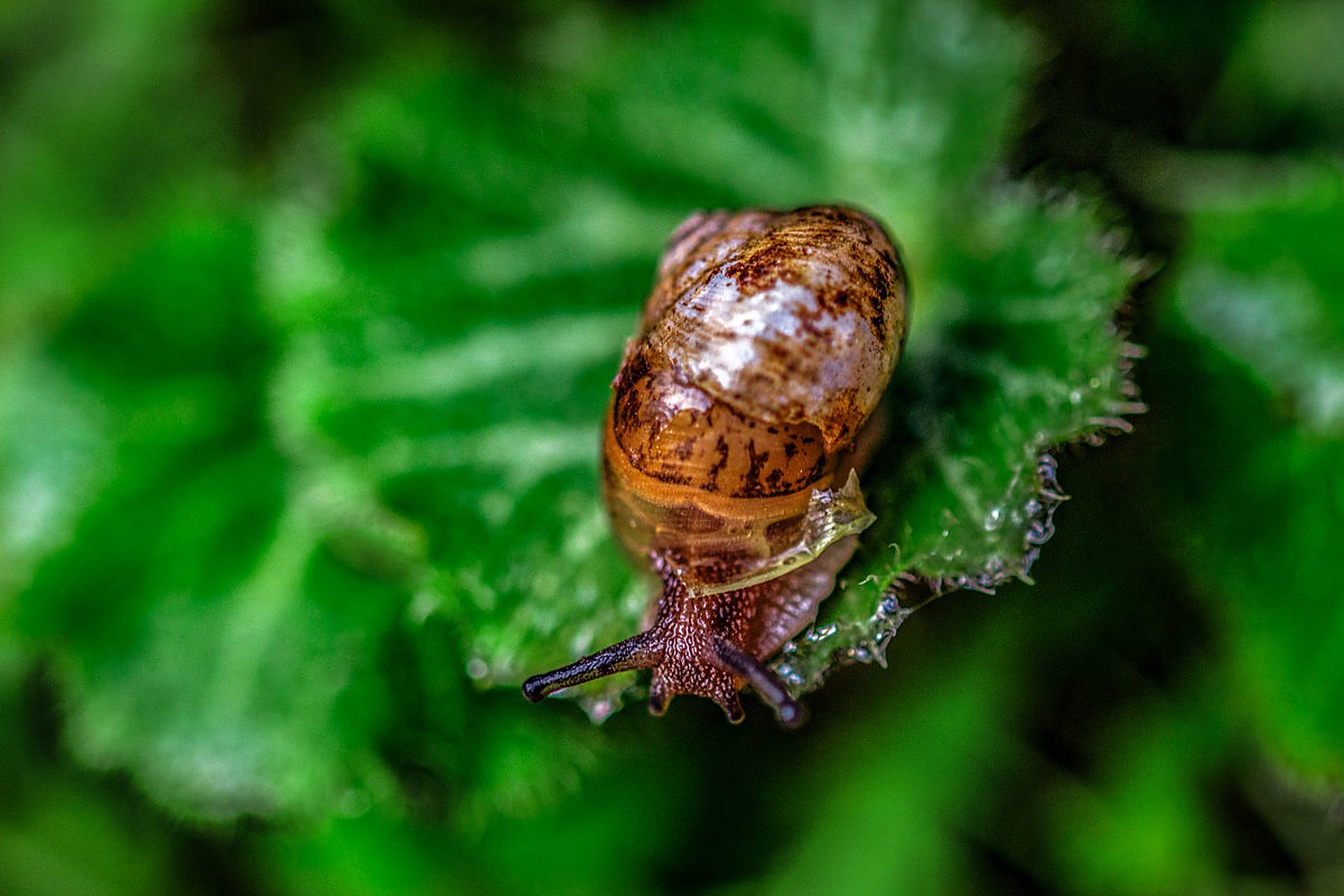 我是一个热衷于追逐新鲜事的人,对于每一桩新奇的