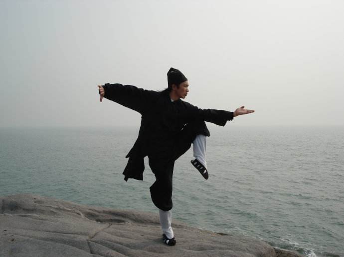 中国传统武术的挑战者,鲶鱼效应?