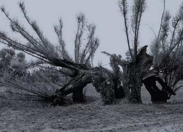 西村往事怪谈之古井奇谈!