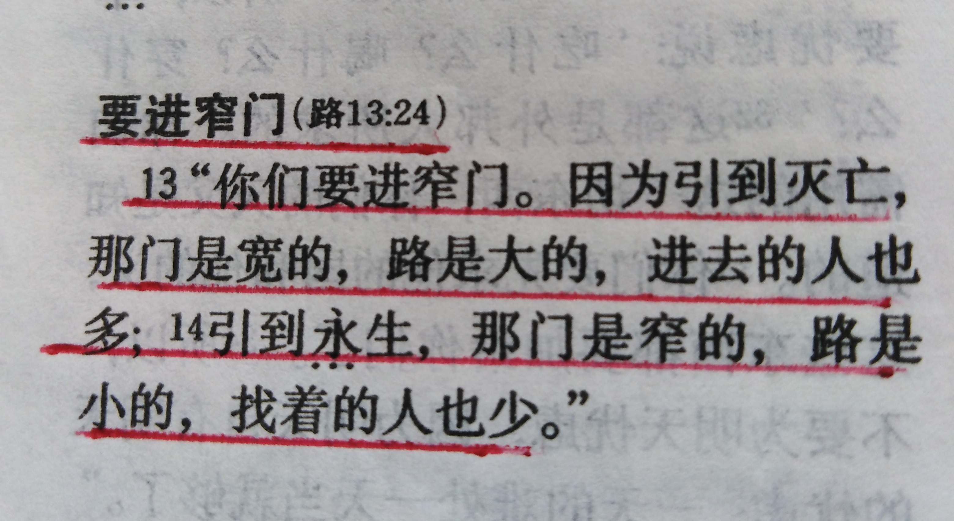 『牧师先把他那一节朗诵了一遍:"你们努力地从这窄门进来吧,因为