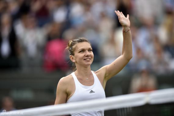 wta2019赛季单打冠军榜:巴蒂,卡普领衔!哈勒普赛季首次上榜!