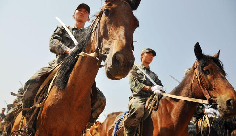 中国骑兵马种图片