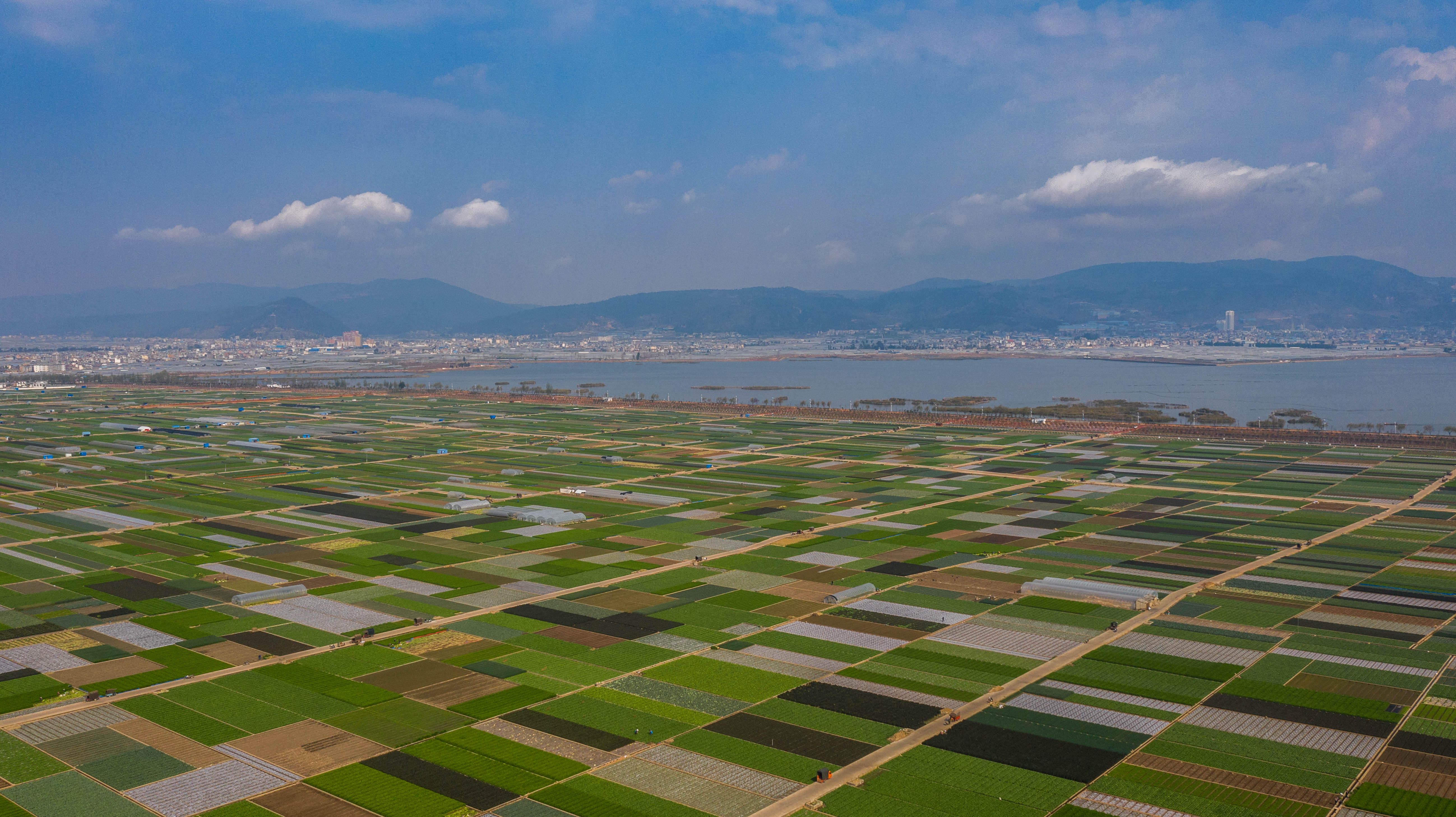 云南通海:田园诗画入眼来