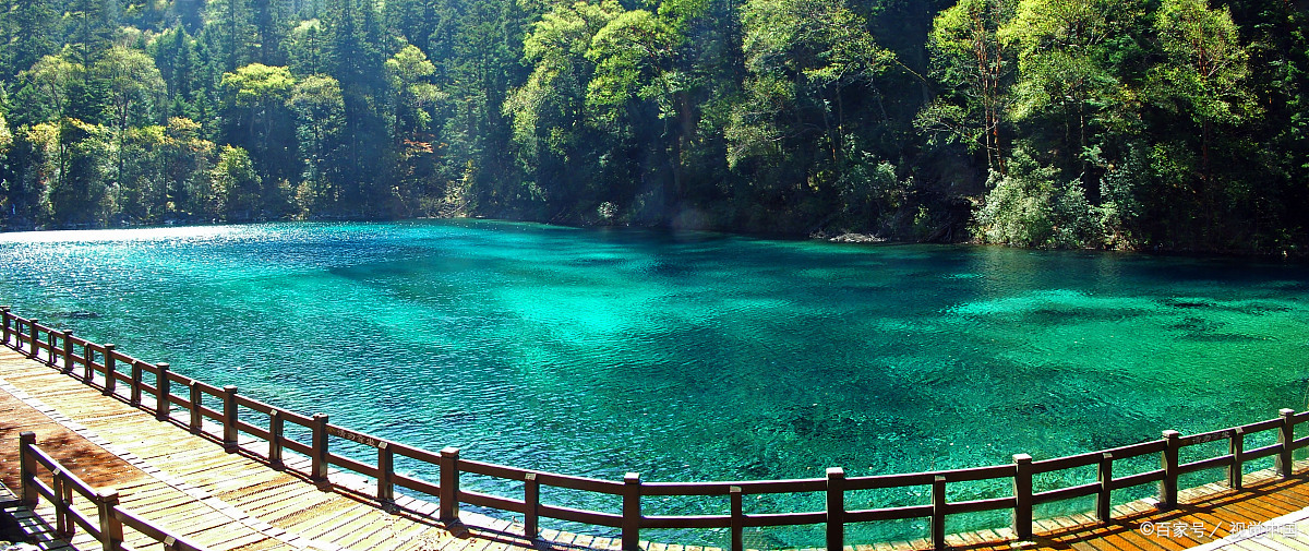 目前,成都大熊猫繁育研究基地,九寨沟,黄龙等川内多个景区即将开启