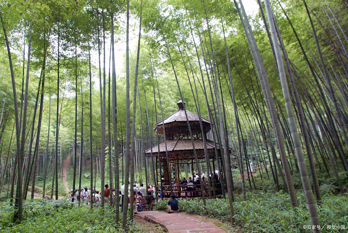 南京竹海风景区图片