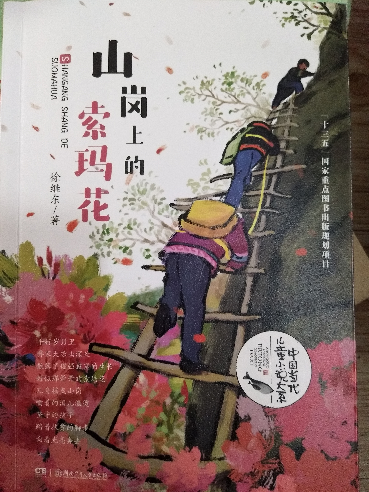 今天开始读《山岗上的索玛花》