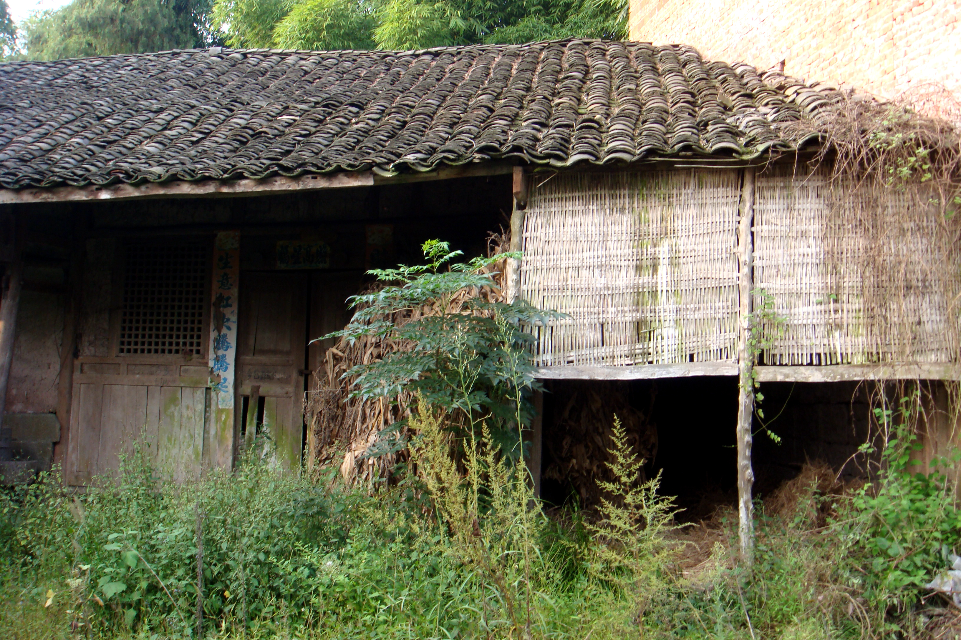 春节回农村老家过年,你都会做些什么