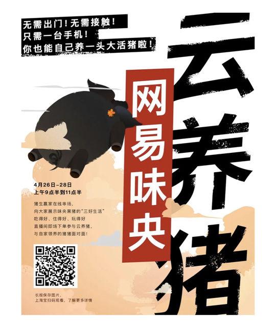 猪场战事:万科入局,网易丁磊养猪十年现在如何了