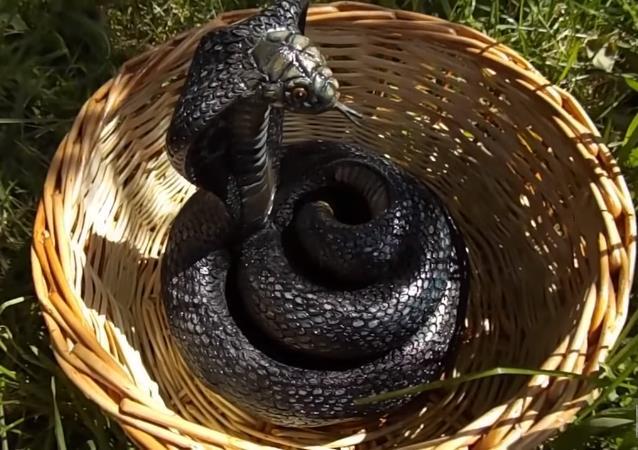 眼镜- 热门商品专区