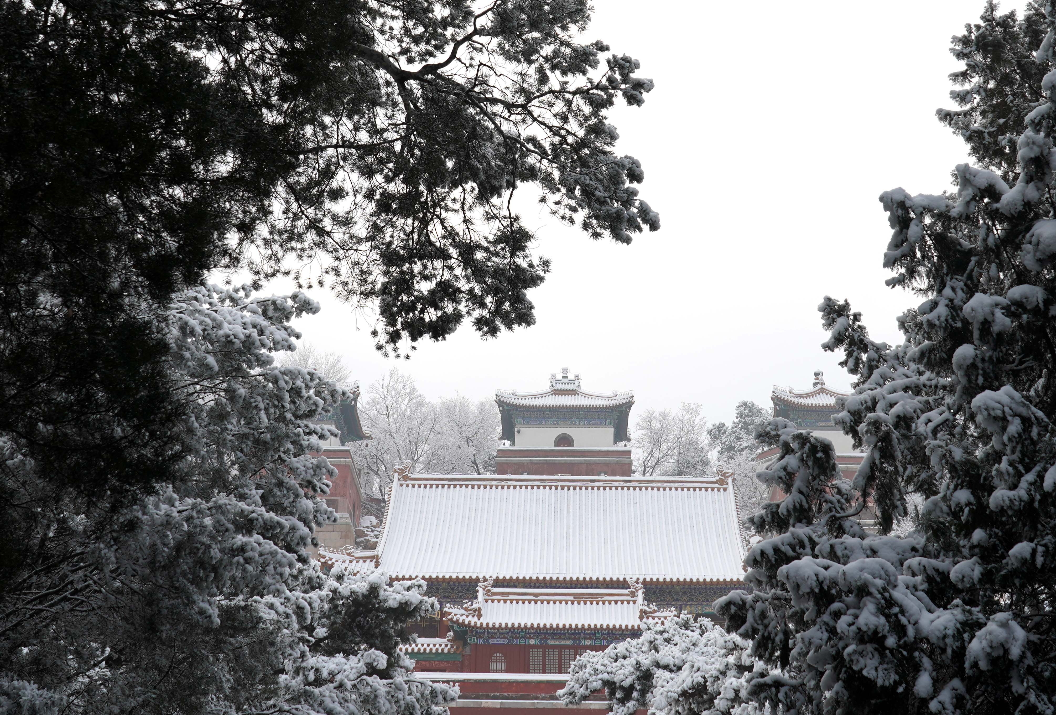 雪后颐和园美如画