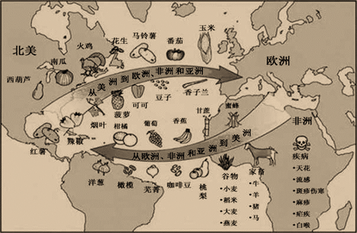 "哥伦布大交换—新航路开辟引发的全球物种交流