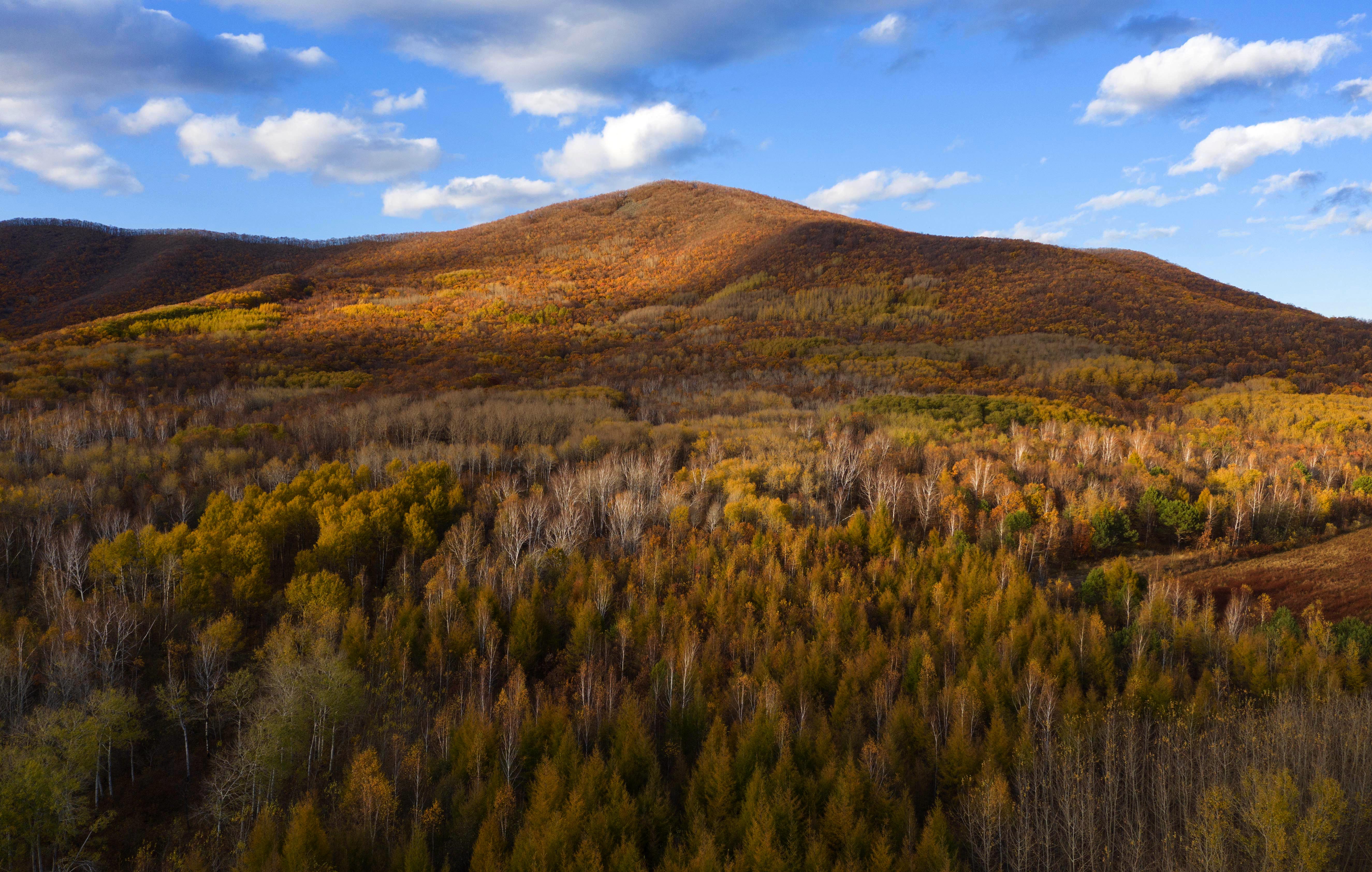 黑龙江:勤得利农场秋韵醉人