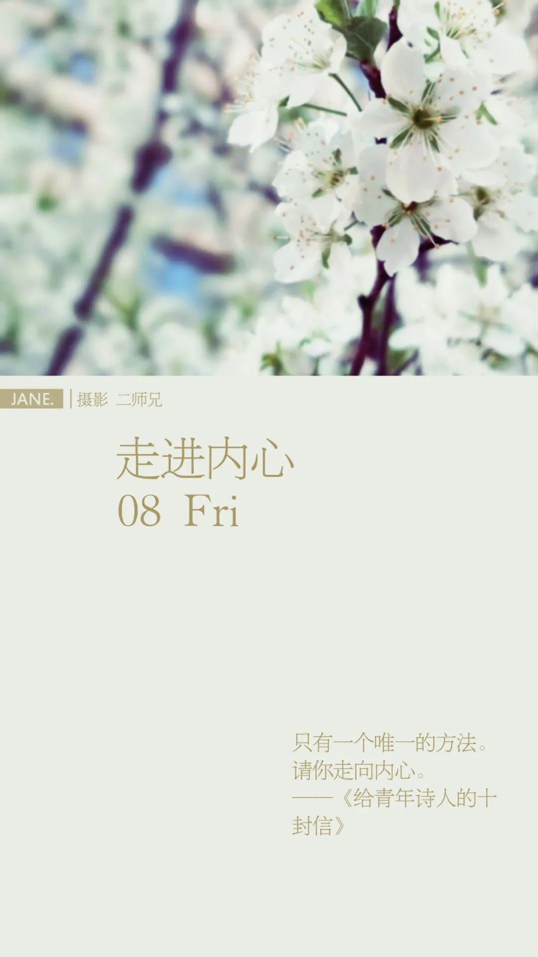 五色历:走进内心|五色时间管理法