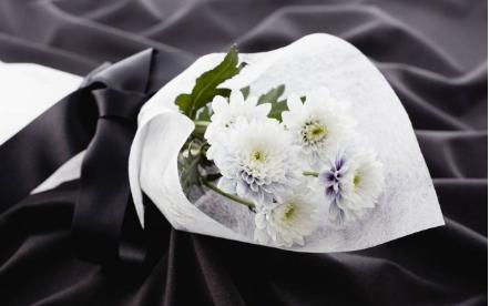 悼念沈周俊教授:相见恨晚,再见已是再难,沈教授走好!