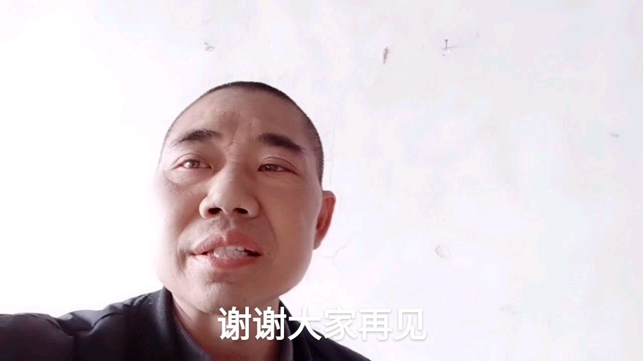 用自己养的虫子喂小鸡,小鸡特别喜欢吃,都抢着吃