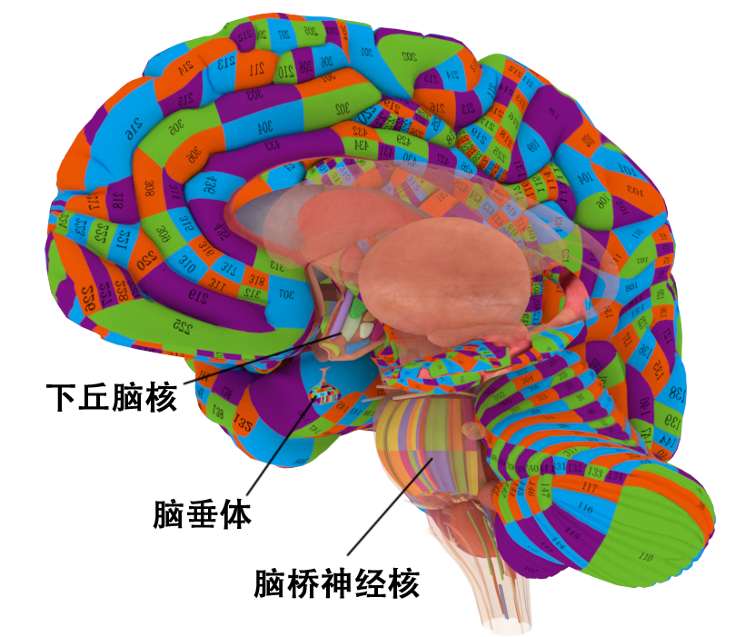 孩子成绩不好刻苦努力没用家长应该思考更多