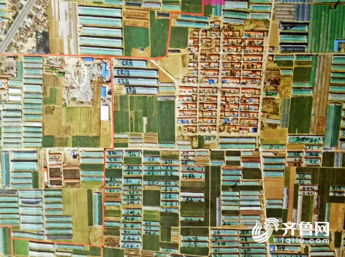 加速灾后重建进度 寿光这个镇推广使用这张神秘"地图"