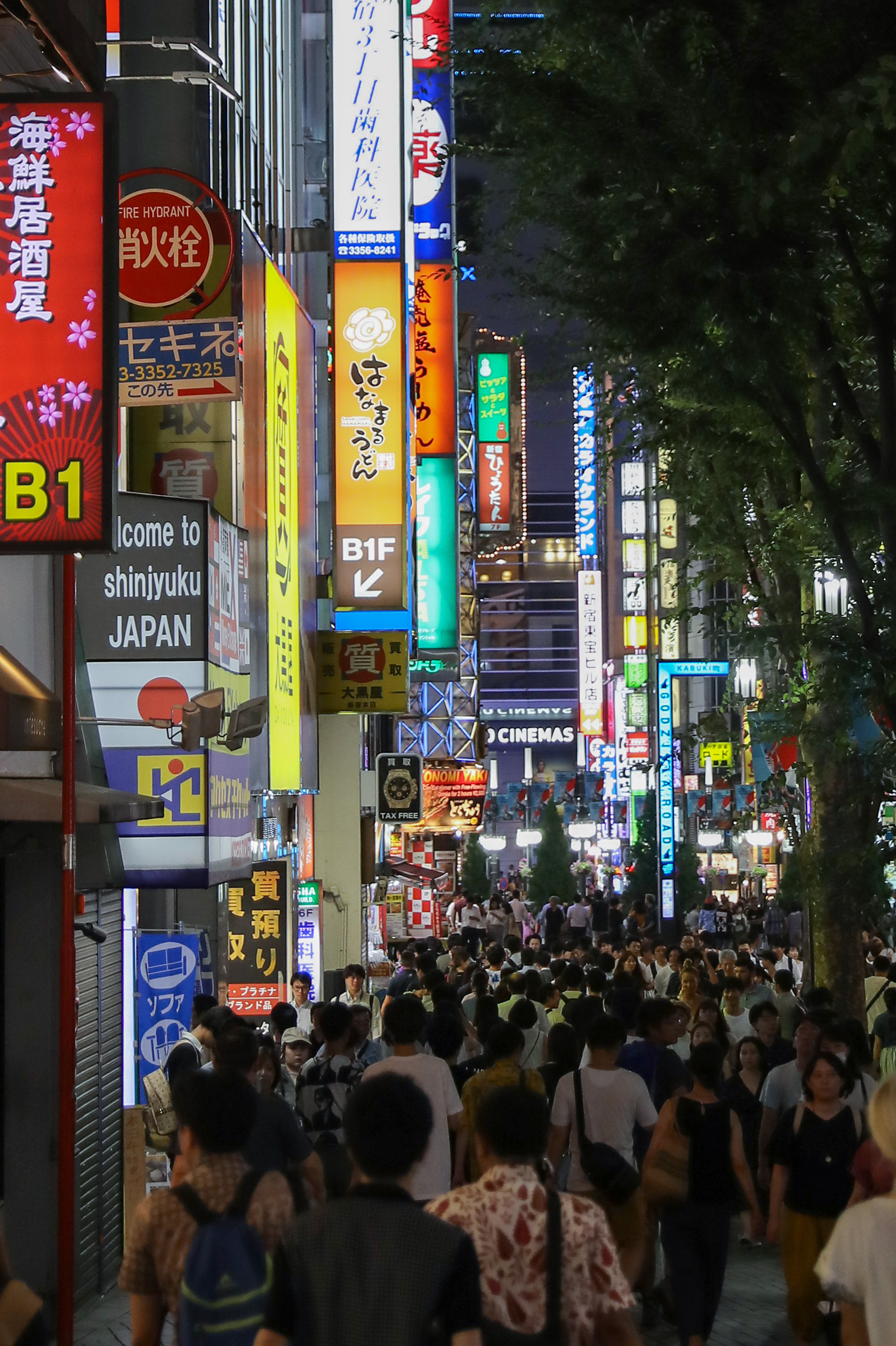 日本东京:夜幕下的熙攘繁华(7)