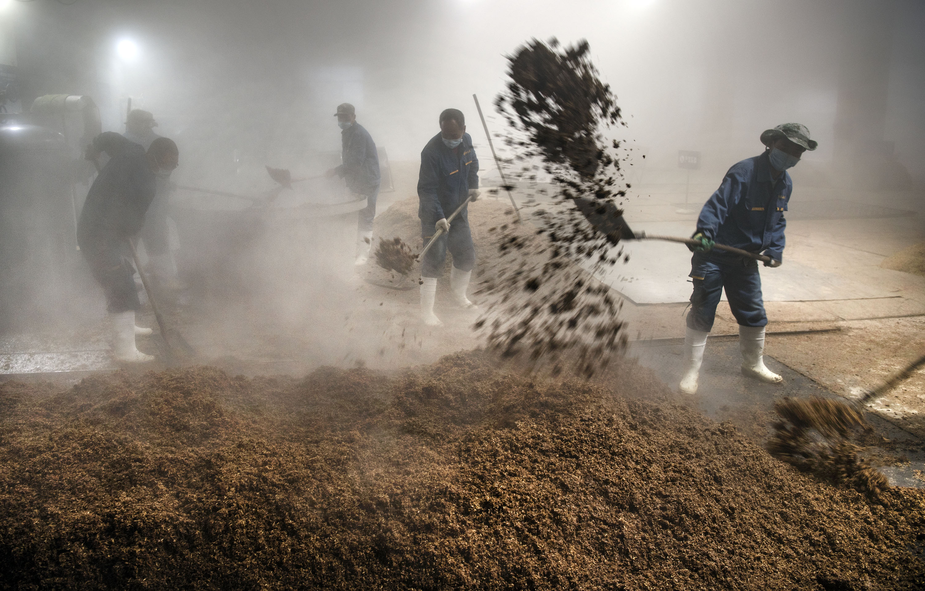 陕西凤翔:酒企有序复工复产