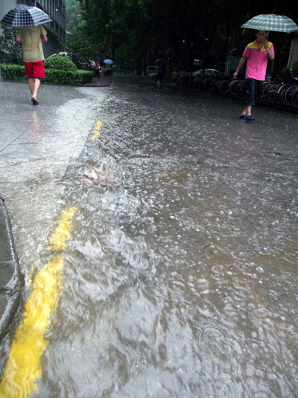 三九下雨好不好(三九下雨好不好钓鱼)