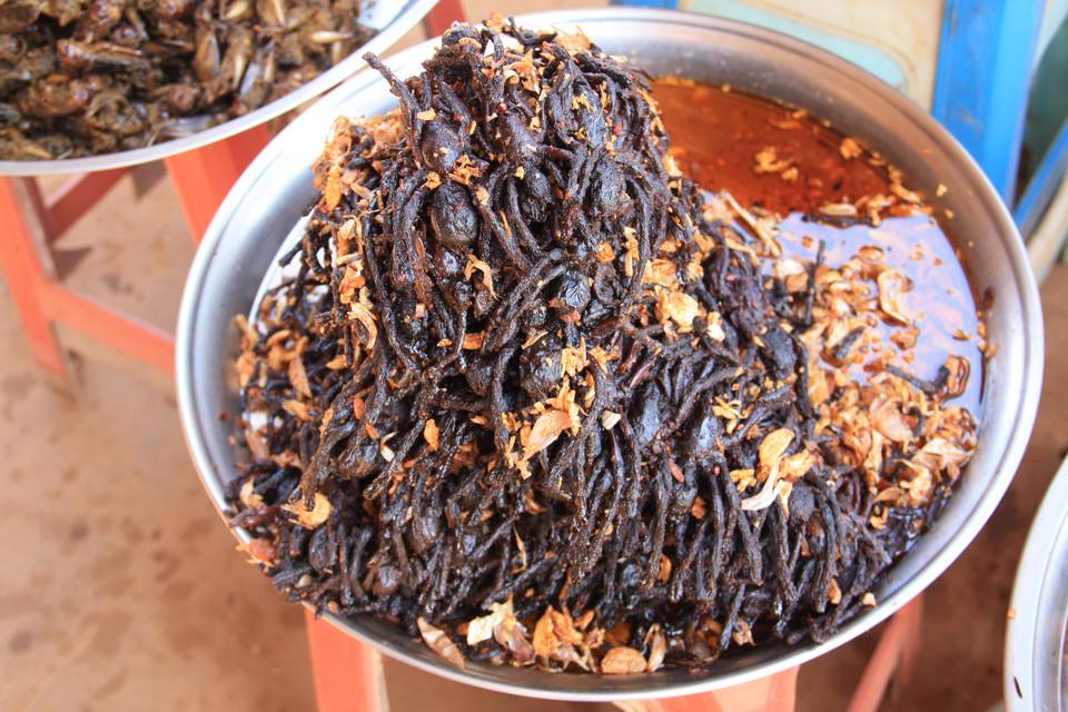 百虫宴中瘆人的虫子佳肴,怎料个个上榜美食排行,吃过的都是狠人