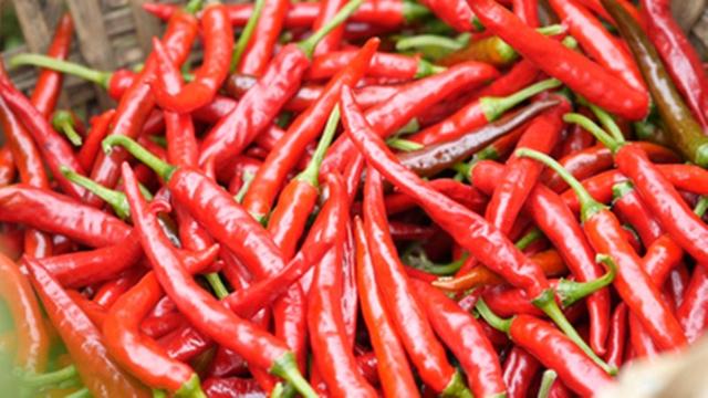 它是湖南吃辣椒最猛的一个县,以辣椒为家常菜,辣味高达七种以上